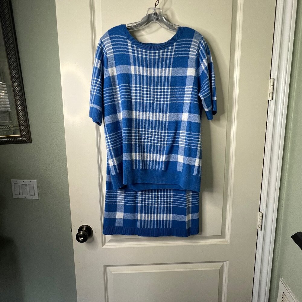 Halogen Blue/White Plaid Sweater (L) and Skirt (M)